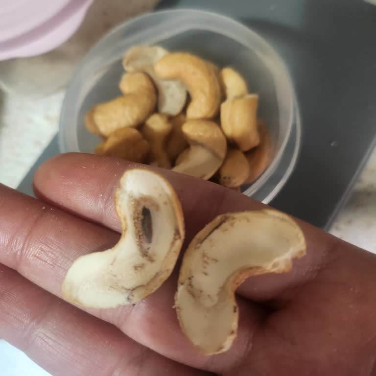 Kuruyemişlerde Güve İle Karşılaşılan Hijyen Krizi