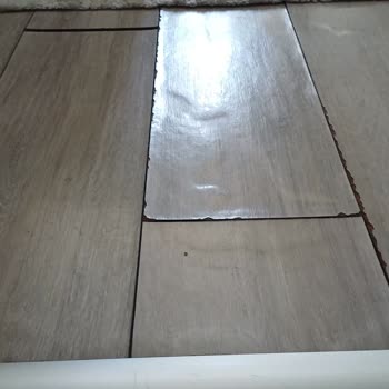 Yetkili Servis Sonrası Bulaşık Makinesi Sızıntısı Ve 25 Bin TL Zarar