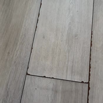 Yetkili Servis Sonrası Bulaşık Makinesi Sızıntısı Ve 25 Bin TL Zarar