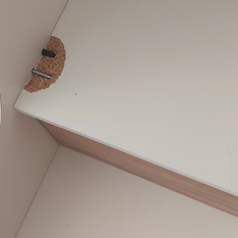 Ranza Merdivenindeki Vida Patlaması Garantili Değişim Talebi