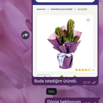 Anneler Günü Çiçek Siparişim Kaktüs Olarak Geldi, Müşteri Hizmetine Ulaşılamıyor