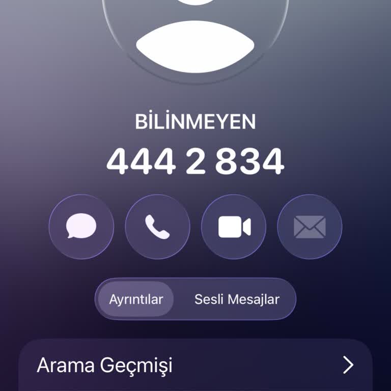 Audi A6 E-tron’da İnternet Ve Uzaktan Bağlantı Özelliğinin Türkiye’de Çalışmaması
