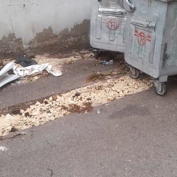 Kazı Çalışmalarının Ardından Kalan Çukurlar Yol Güvenliğini Tehlikeye Atıyor