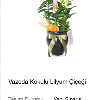 Teslimat Gecikmesi Ve Yanlış Ürün İçin Tam İade Talebi