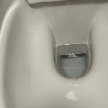 Vitra Asma Klozetlerde Hızlı Lekelenme, Firma Sorumluluğu Reddetti