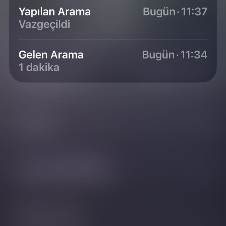 İzinsiz Arama Ve Ses Kayıtlarının Silinmesi Talebi
