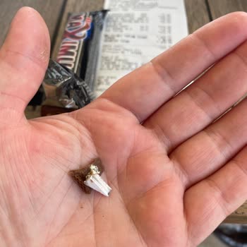 Eti Çikolatasında Plastik Parça: Sağlık Tehlikesi Ve Cevapsızlık