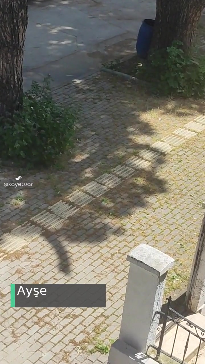 Bursa Yıldırım Belediyesi Temizlik Ve İlaçlama Sıkıntısı! videonun kapak resmi