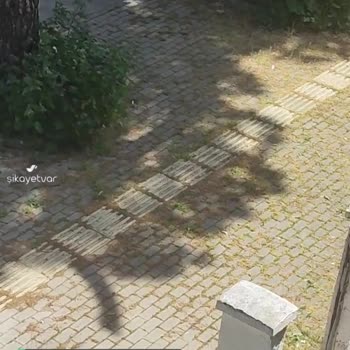 Bursa Yıldırım Belediyesi Temizlik Ve İlaçlama Sıkıntısı!