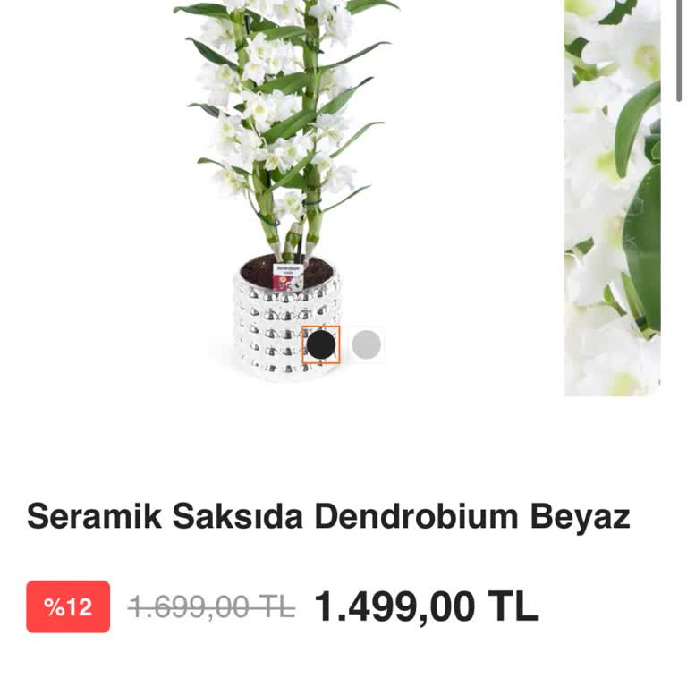 Teslim Edilmeyen Çiçek İçin Tam İade Talebi