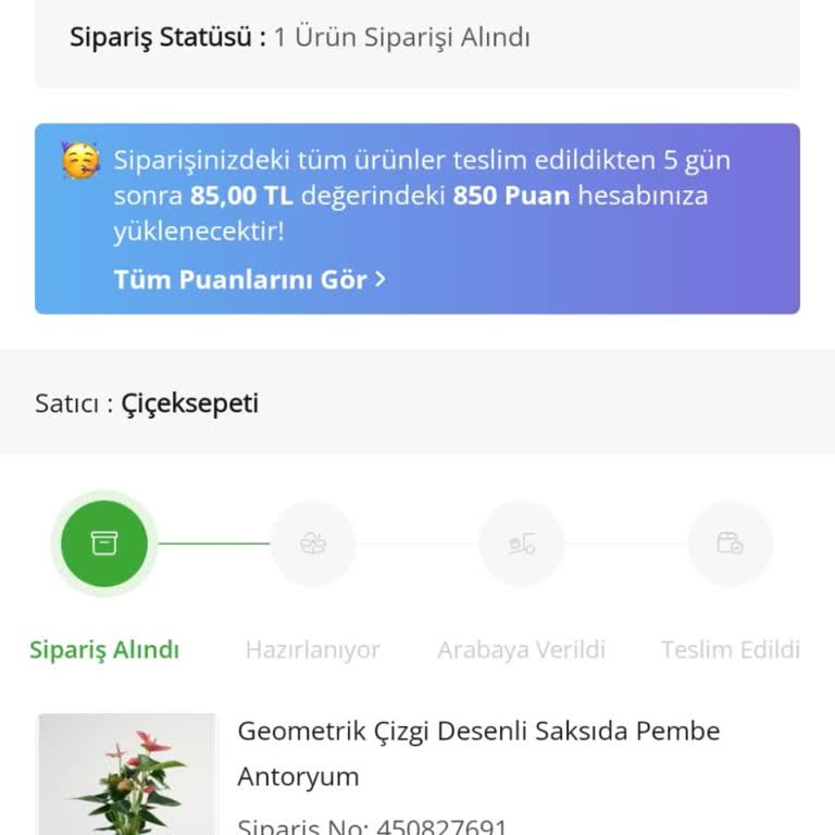 Çiçek Sepeti Anneler Günü Çiçek Siparişinde Yanıltıcı Bilgilendirme Ve Telafi Eksikliği