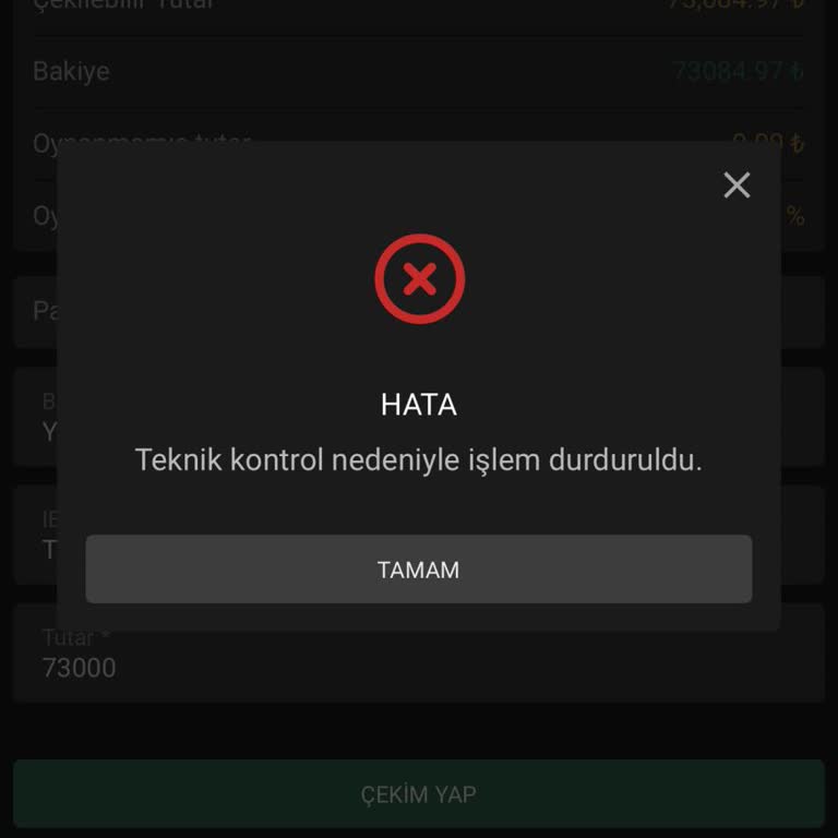 Doğrulanmış Hesabımda 73.084 TL Ödeme Alamadım