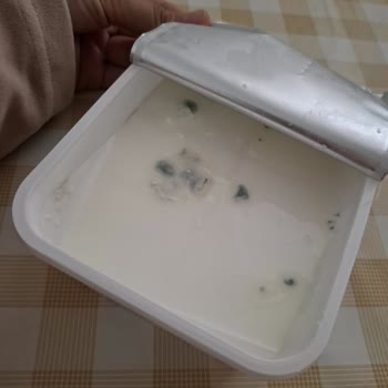 Yörsan Son Tüketim Tarihi Geçmemiş Peynirde Küf Görüldü, İade Ve Değişim Talebi