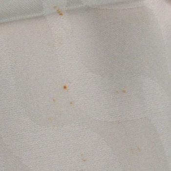 Organic Scarfs Küflü Ve Lekeli Şallar İçin İade Ve Ücret İadesi Talebi
