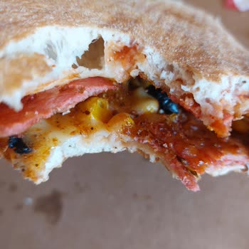 Domino’s Şubesinde Hijyen Sorunu Kıl İçeren Pizza Ve İade Talebi
