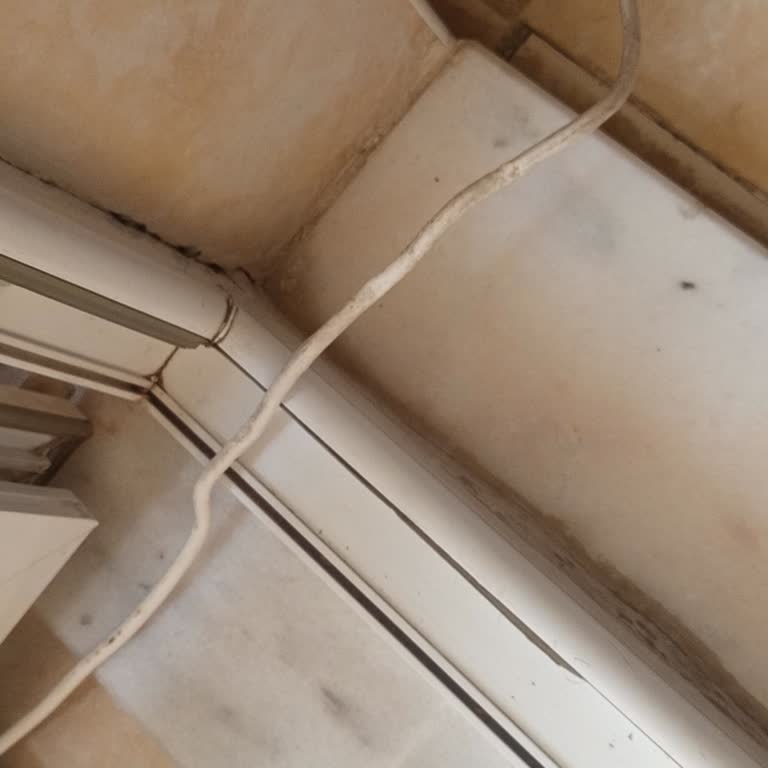 BTK Fiber Görünmesine Rağmen VDSL Hizmeti, Ezik Kablo Ve 100 Mbps Talebinin Reddedilmesi