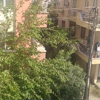 Akdeniz Elektrik Dağıtım Elektrik Şebeke Hattı Sorunu