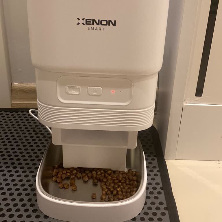 Xenon Smart Cihazım Çevrimdışı ve Müşteri Hizmetleri Sessiz