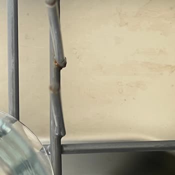 Arçelik Buzdolabı Ve Bulaşık Makinesindeki Koku ve Pas Sorunu Artık Dayanılmaz