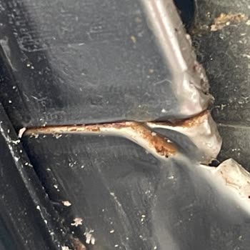 Arçelik Buzdolabı Ve Bulaşık Makinesindeki Koku ve Pas Sorunu Artık Dayanılmaz