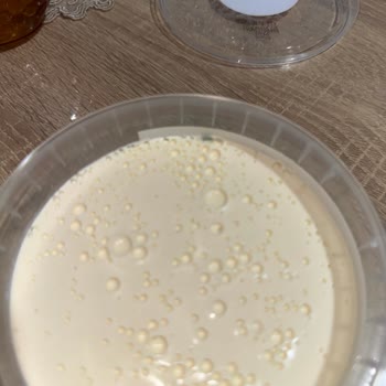 BİM Şubesinde Satın Alınan Kaymakta Küf Ve İade Talebi