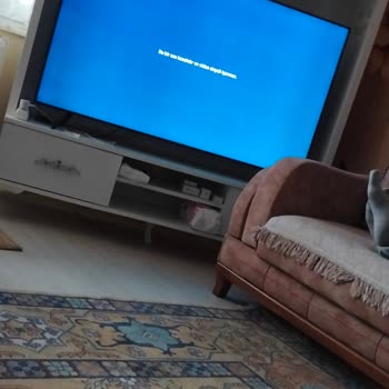 Samsung 58'' Televizyonumda Rastgele Görüntü Bozukluğu Ve Kanal Kesintileri