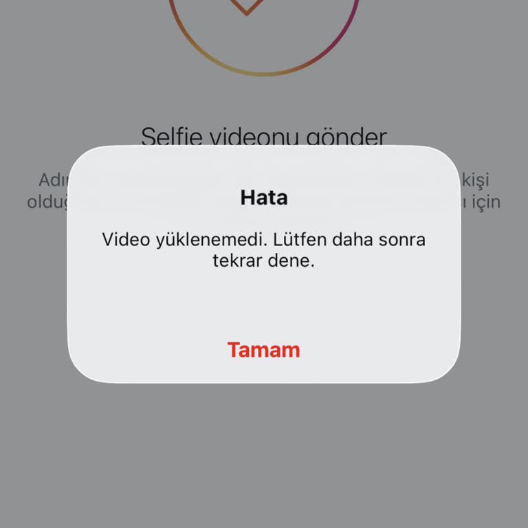 Telefon Numaram Değiştiği İçin Instagram Giriş Kodu Eposta İle Gönderilsin