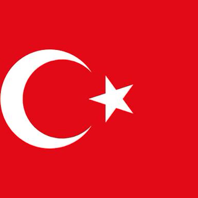 Direksiyon Sınavının Erken Sonlandırılması Ve Subjektif Değerlendirme Eleştirisi