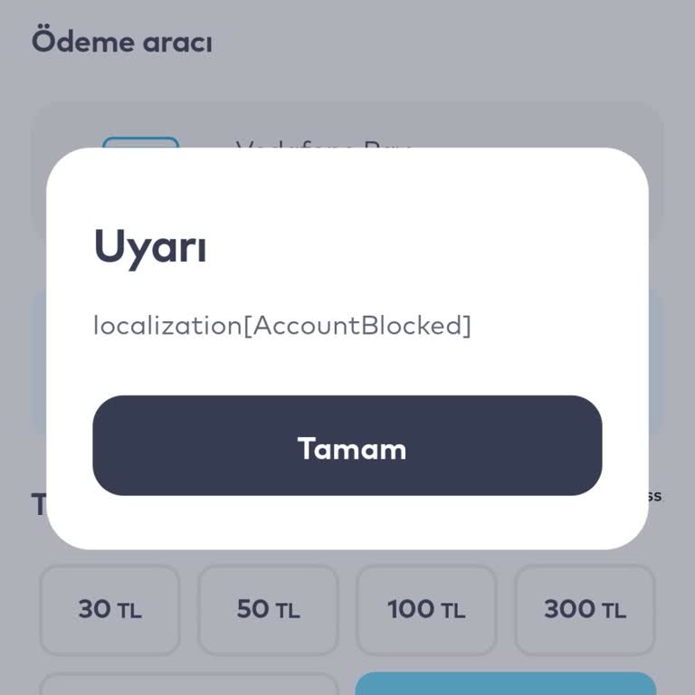 Bloke Hesabım 5 Ay Süreyle Açılmadı, Müşteri Hizmetinden Cevap Gelmedi