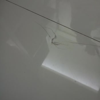 Bauhaus Üretim Hatası Nedeniyle Çarpıklık ve Kırılma Gösteren Fayanslarda Teknik İnceleme Talebi