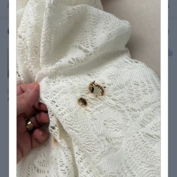Aras Kargo’nun Sigara Yanığı Nedeniyle Ürün Hasarı Ve Tazminat Talebi