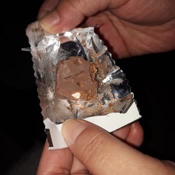 Bolçi One Bol Çikolata Kaplı Krokan’da Güve Ve Canlı Kurt Bulundu