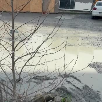 Başakşehir Belediyesi Bize Zulüm Ediyor