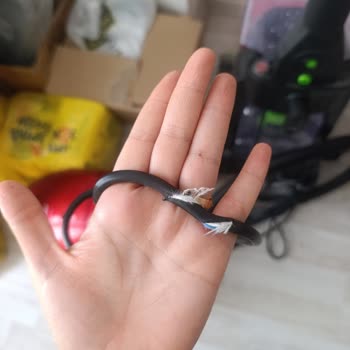 Bissell Halı Ve Koltuk Yıkama Makinesinin Kabloda Kesik, Güvenlik Riski