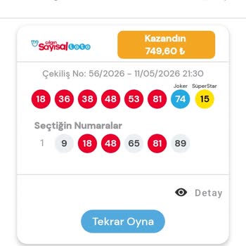 Milli Piyango Uygulamasında Para Çekme Hatası Ve Kazançların Aktarılamaması