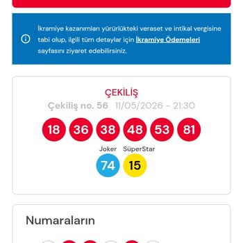 Milli Piyango Uygulamasında Para Çekme Hatası Ve Kazançların Aktarılamaması