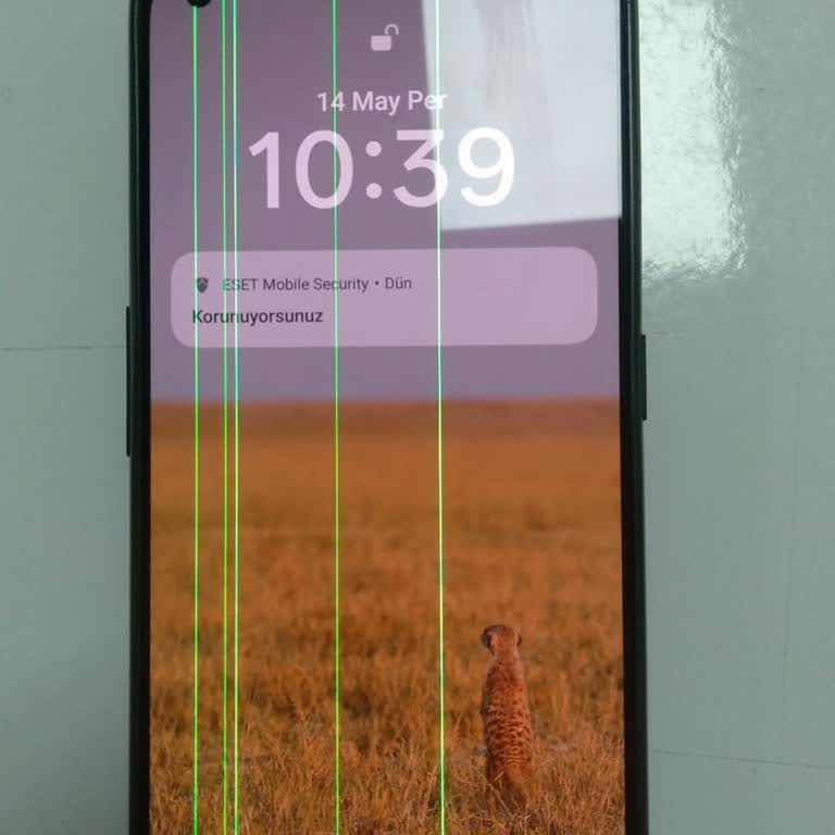 Realme GT2 Ekran Çizgileri Sorunu Ve Yetkili Servisten Yanıt Bekleniyor