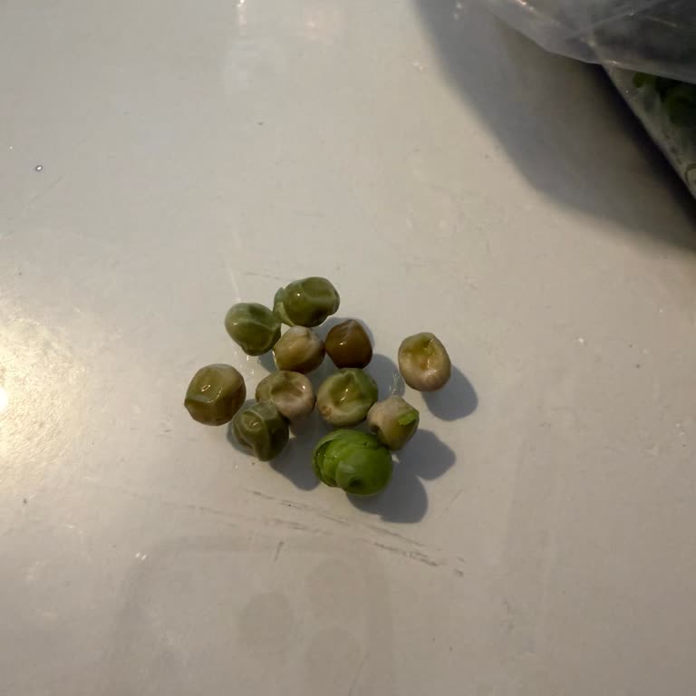 Çürük Bezelye Ve Bamyanın Tam İadesi