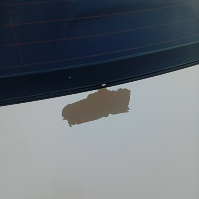 Honda Civic Boya Atma Sorunu Yetkili Servis Tarafından Çözüm Bulunamıyor