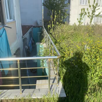 Arnavutköy Boş Arsadaki Dikenli Otlar Ve Ağaçlar Nedeniyle Ücretsiz Temizlik Talebi