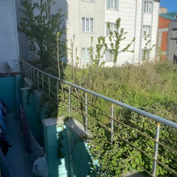 Arnavutköy Boş Arsadaki Dikenli Otlar Ve Ağaçlar Nedeniyle Ücretsiz Temizlik Talebi