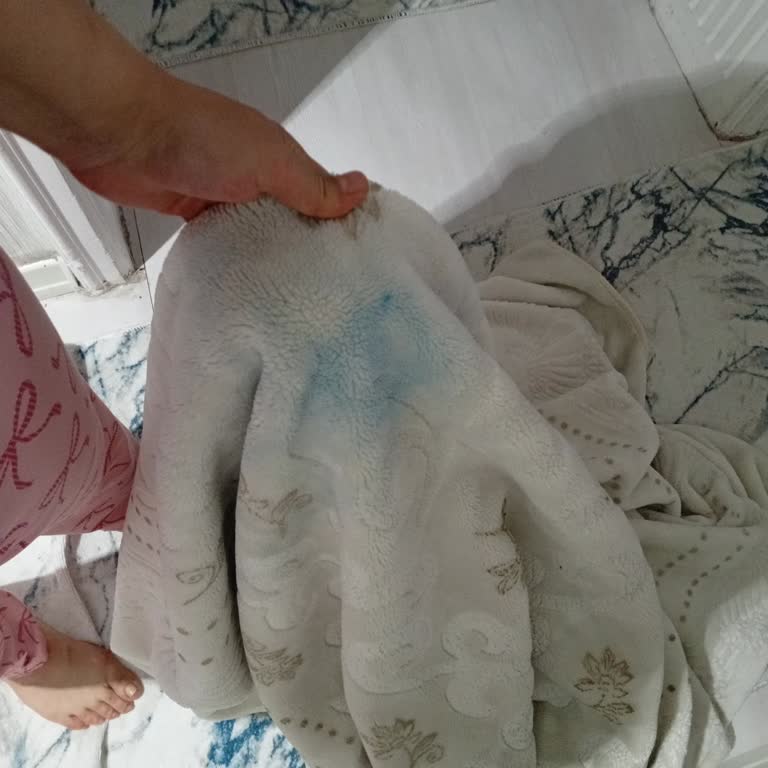 Wellnax Çamaşır Parfümü Nedeniyle Değerli Battaniyede Kalıcı Mavi Leke