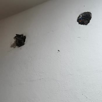 İzinsiz Kablo Kesimi Ve 10 Gün Süren İnternet Kesintisi