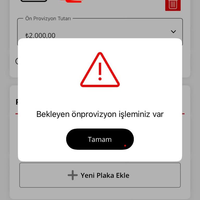 Öde Geç Çalışmıyor, Hesabım Silinemiyor