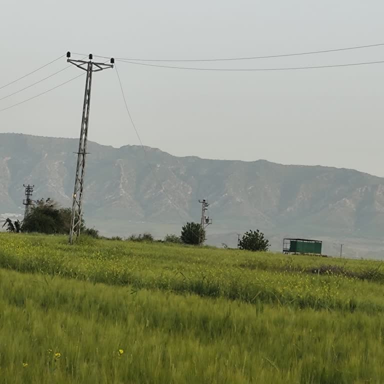 Dicle Elektrik Tarımsal Sulama Hattının Ana Hat Başındaki Elektrik Teli 3 Gündür Kopmuş Halde
