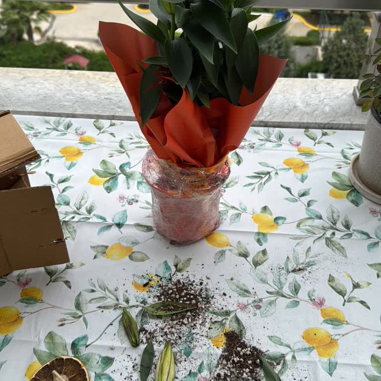 Gecikmeli Teslim Ve Hasarlı Çiçek İçin İade Talebi
