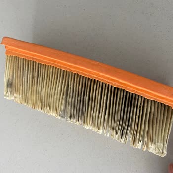 Karcher SE 6 Filter Became Moldy After Only Two Uses
