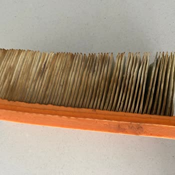 Karcher SE 6 Filter Became Moldy After Only Two Uses