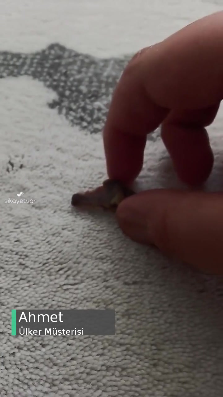 Ülker Hobby'den Kemik Çıktı! videonun kapak resmi