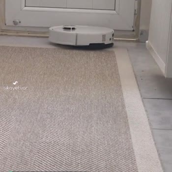 Roborock Kronik Ses Sorunu Ve Fırça Kapağı Kırılması